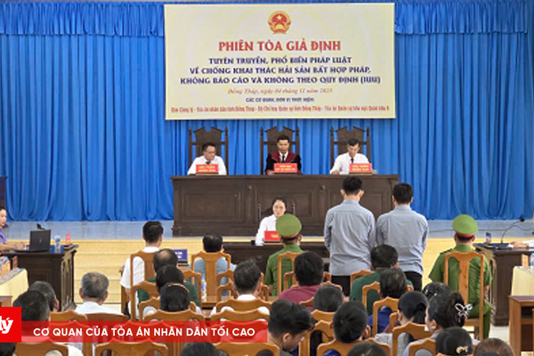 Phiên tòa giả định chống khai thác IUU tại tỉnh Đồng Tháp